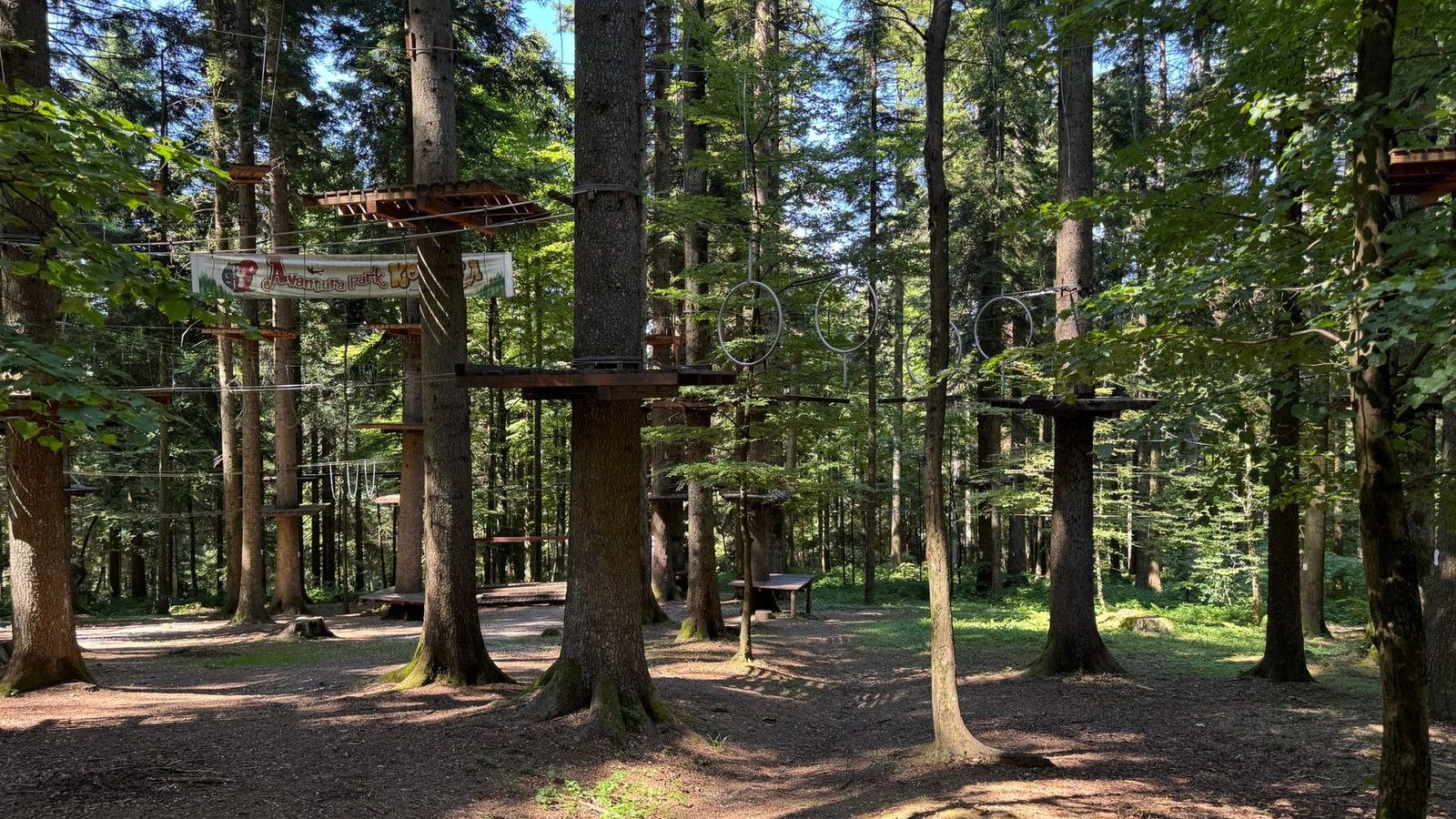 Pont de cables suspendu entre les arbres, parcours accrobranche