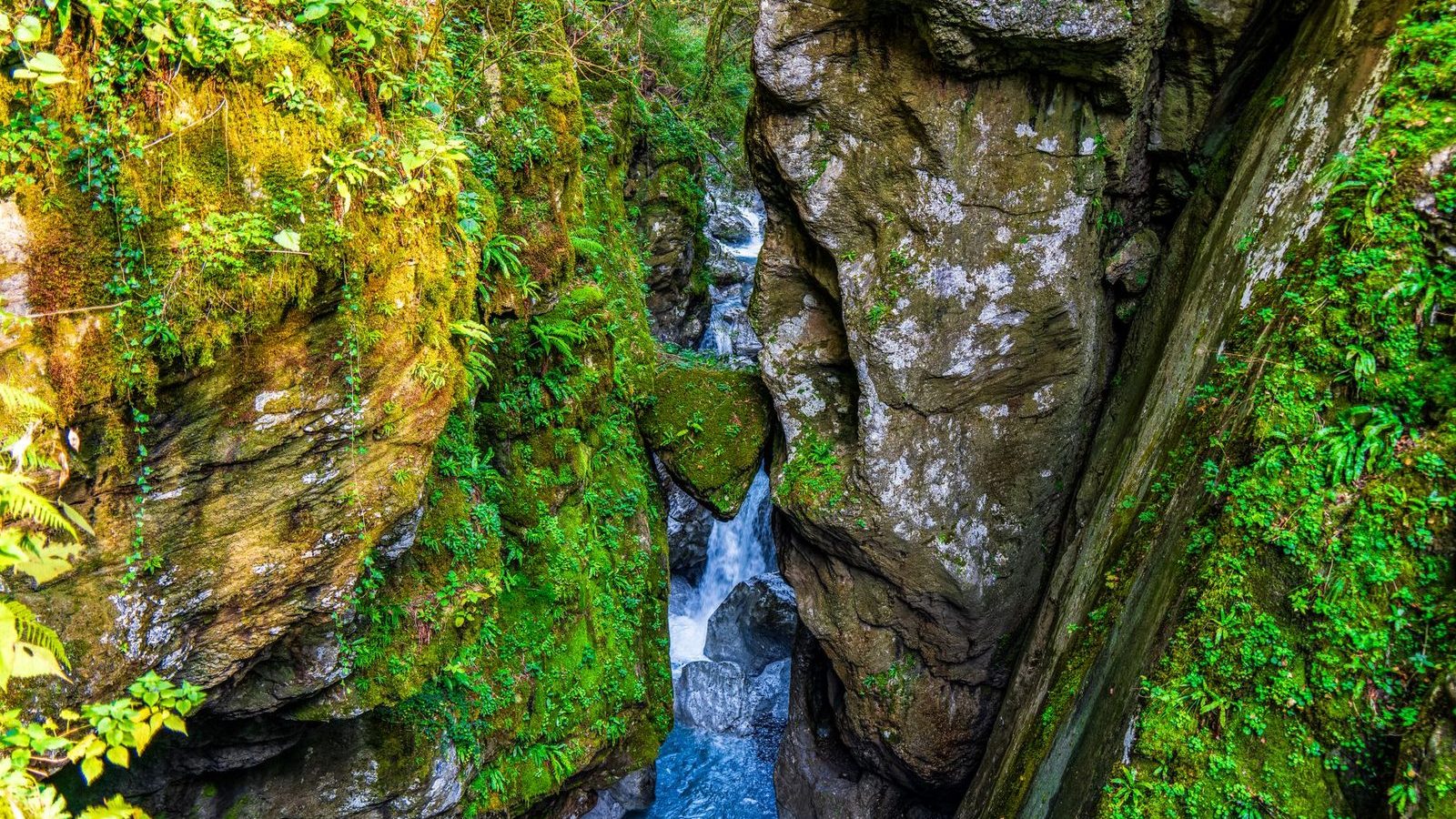 Canyon verdoyant avec cascade, cadre d une sortie canyoning debutant