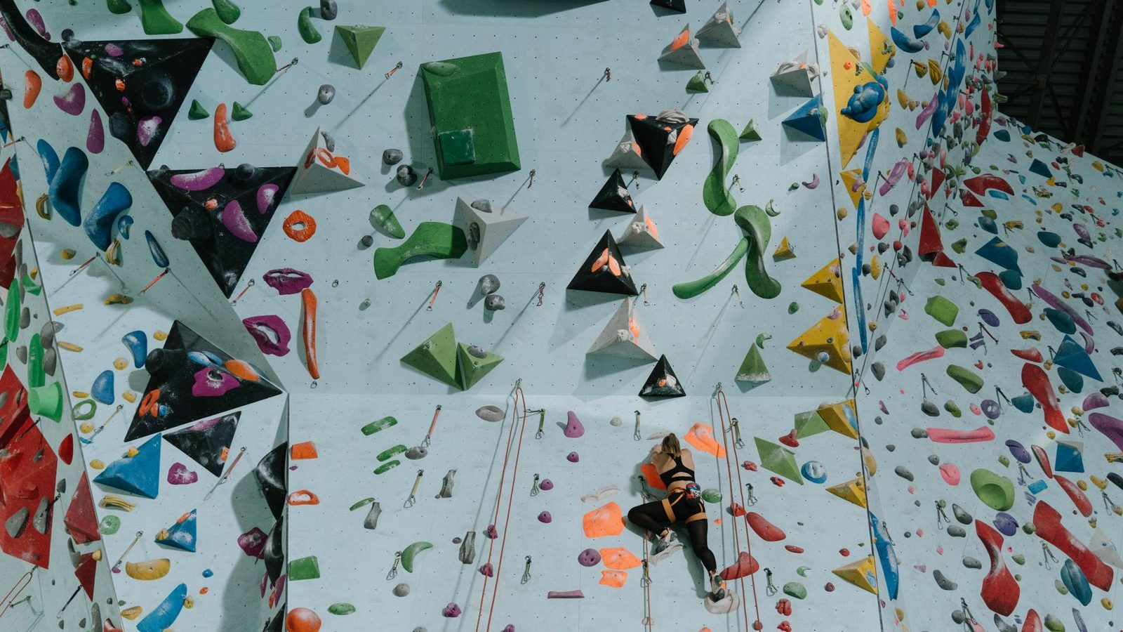 Grimpeuse encordée sur un mur d'escalade en salle aux prises multicolores, ambiance compétition d'escalade en intérieur