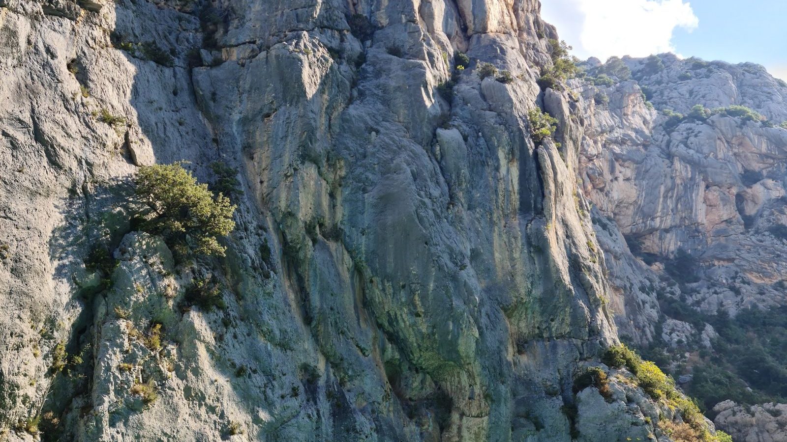 Canoë glissant au pied de hautes falaises calcaires sur une eau turquoise, activité canoë dans les gorges de l'Ardèche