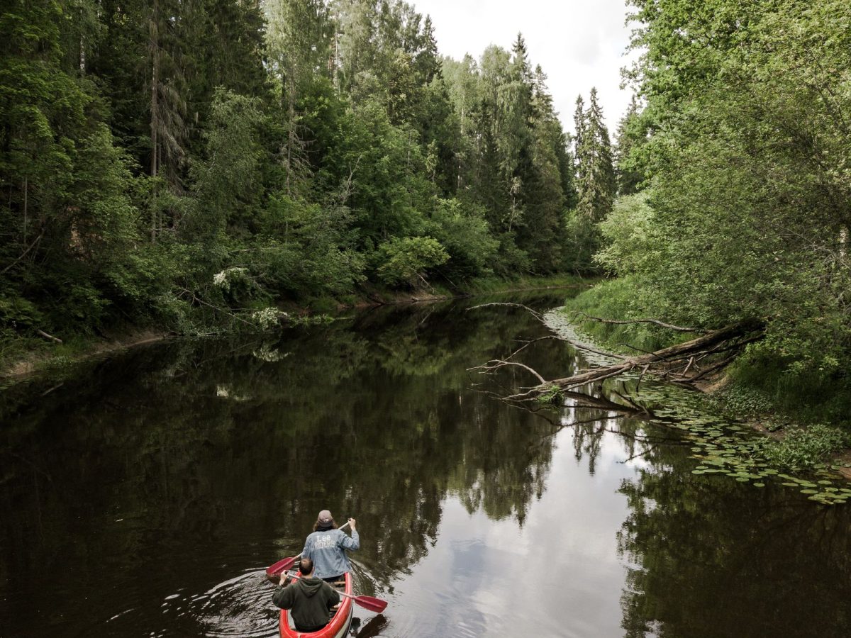 Deux pagayeurs en canoë sur une rivière calme bordée de forêt, activité canoë en Dordogne
