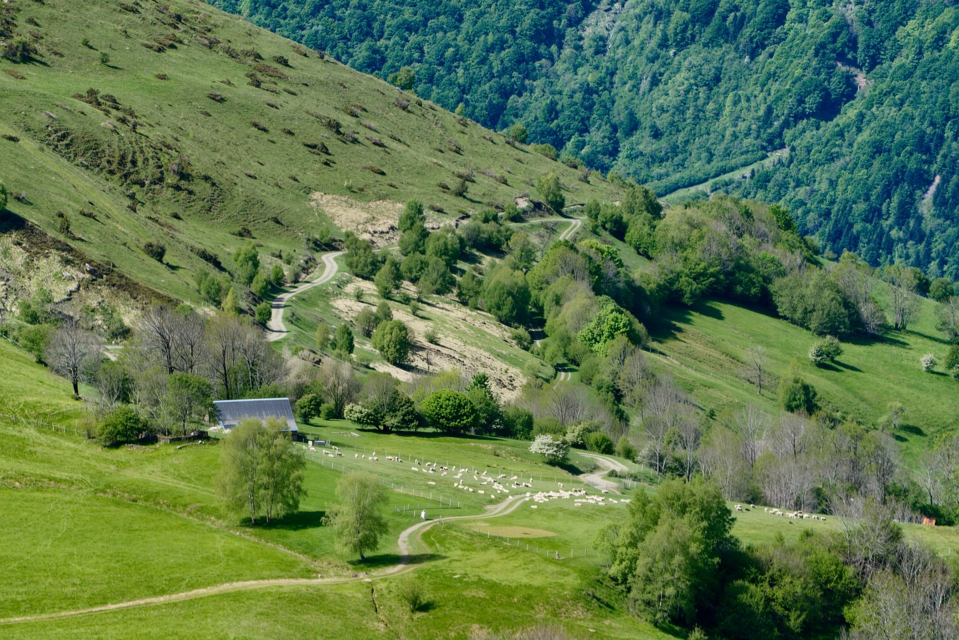 Loudenvielle : des vols en parapente à des prix compétitifs