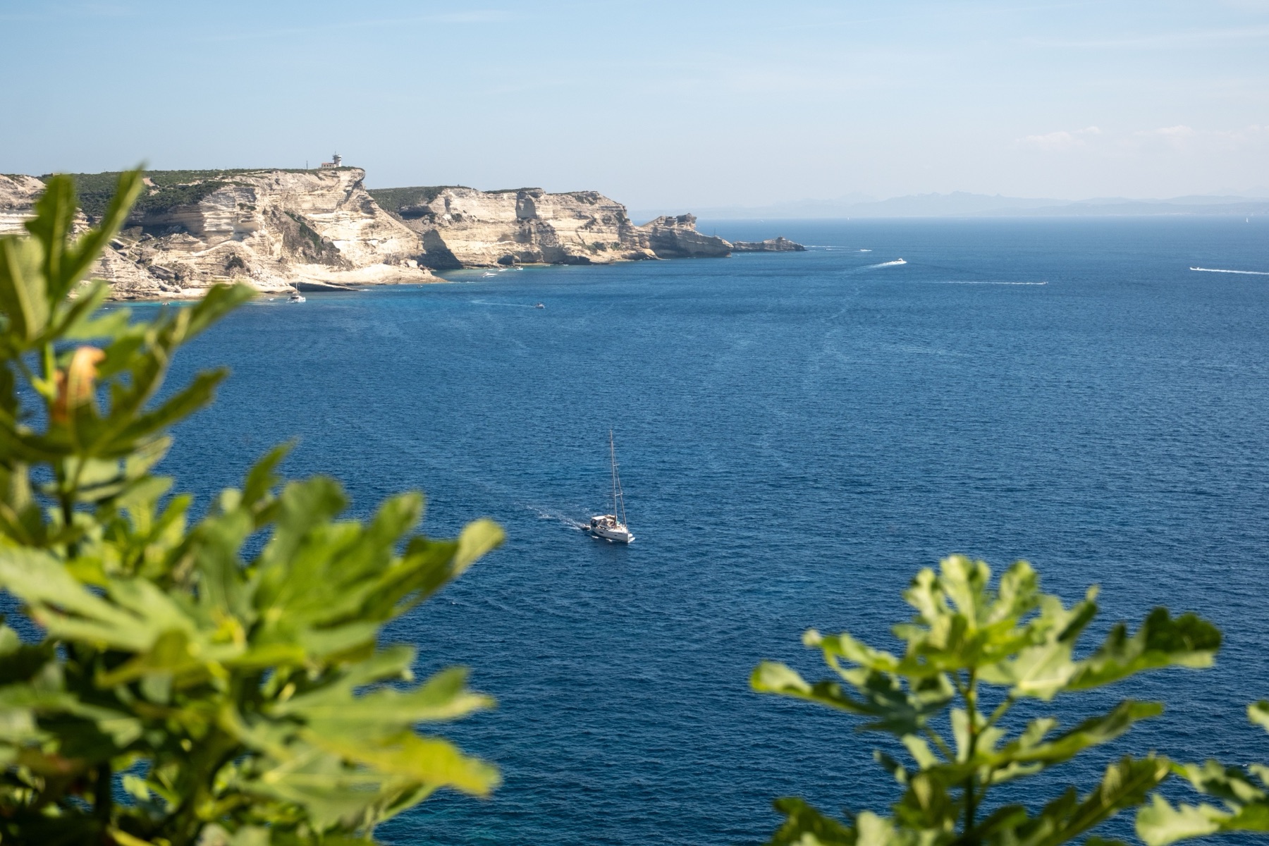 voilier naviguant au large des falaises blanches de Bonifacio, en Corse, mer bleue et ciel dégagé