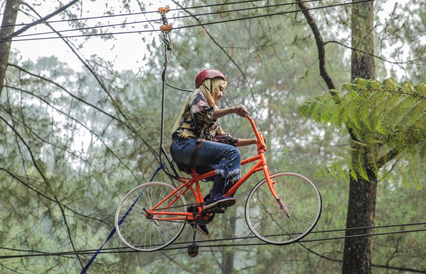 Accrobranche autour d'Arcachon : parcs et infos pratiques