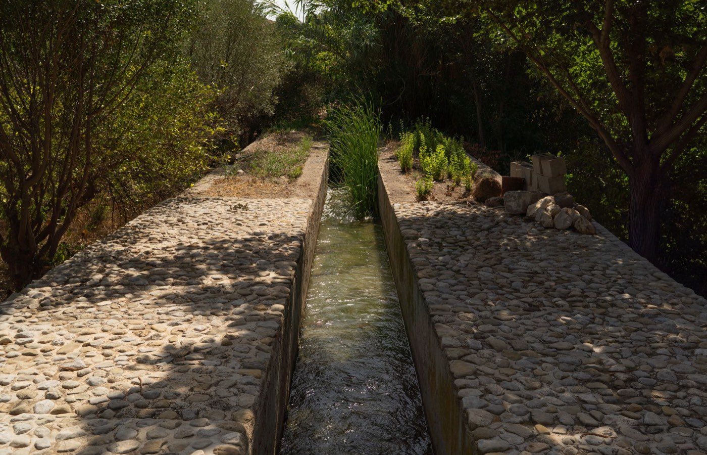 Canoë Collias – Pont du Gard : parcours familial 8 km