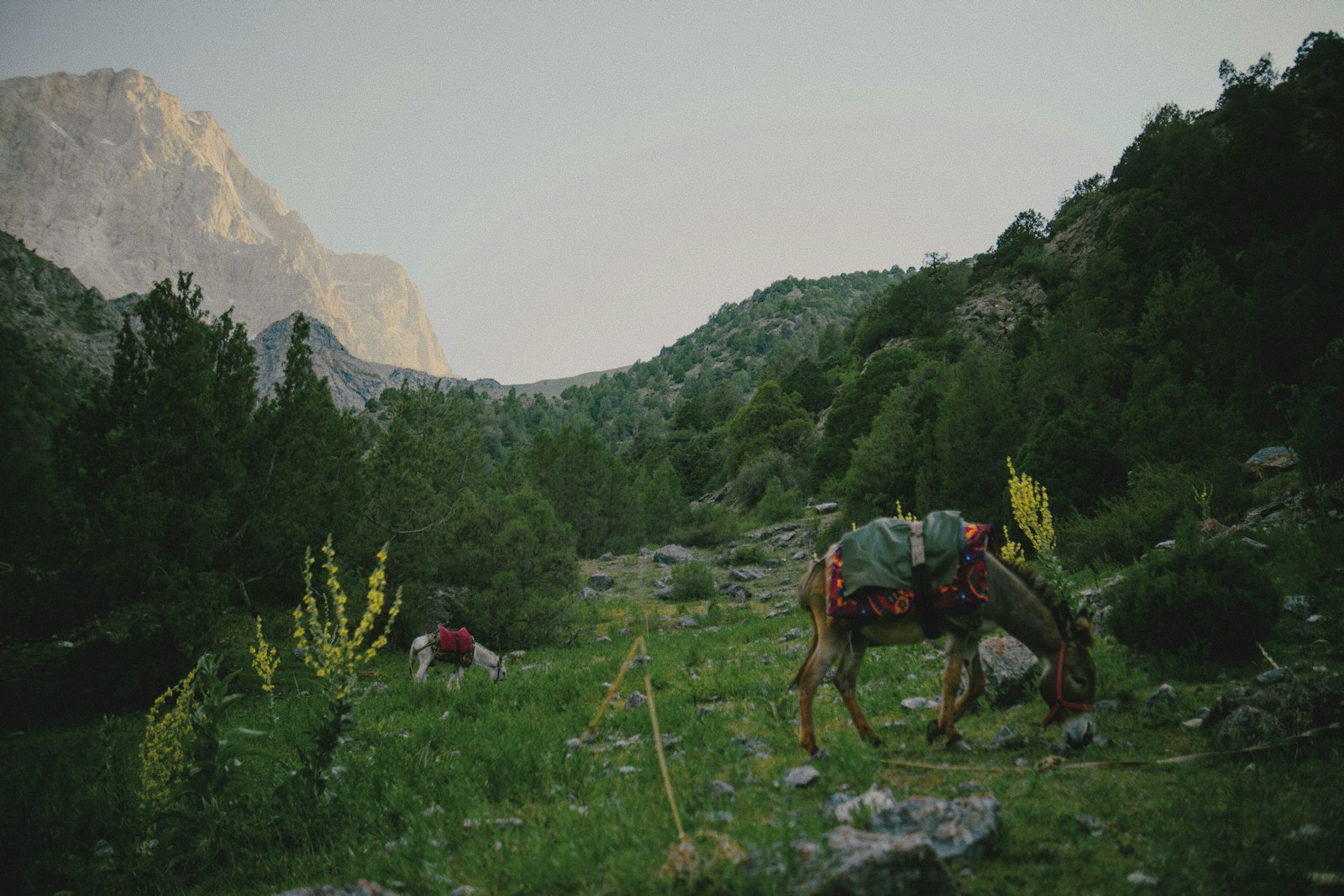 Le trek en Andorre qui transformera votre été : osez la Coronallacs !