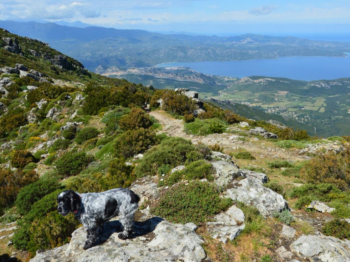 GR20 en Corse : ce que le mythique sentier exige vraiment