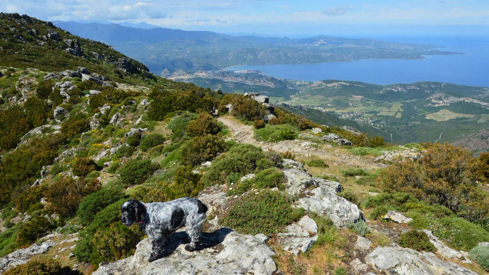 GR20 en Corse : ce que le mythique sentier exige vraiment