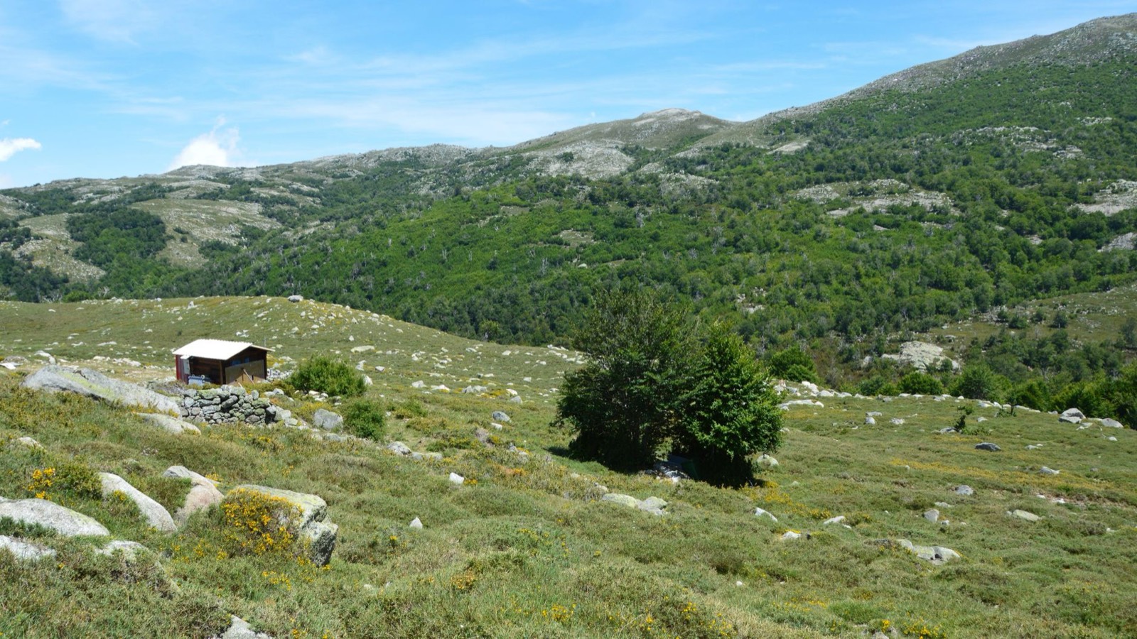 Refuge en pierre sur un sentier de montagne en Corse