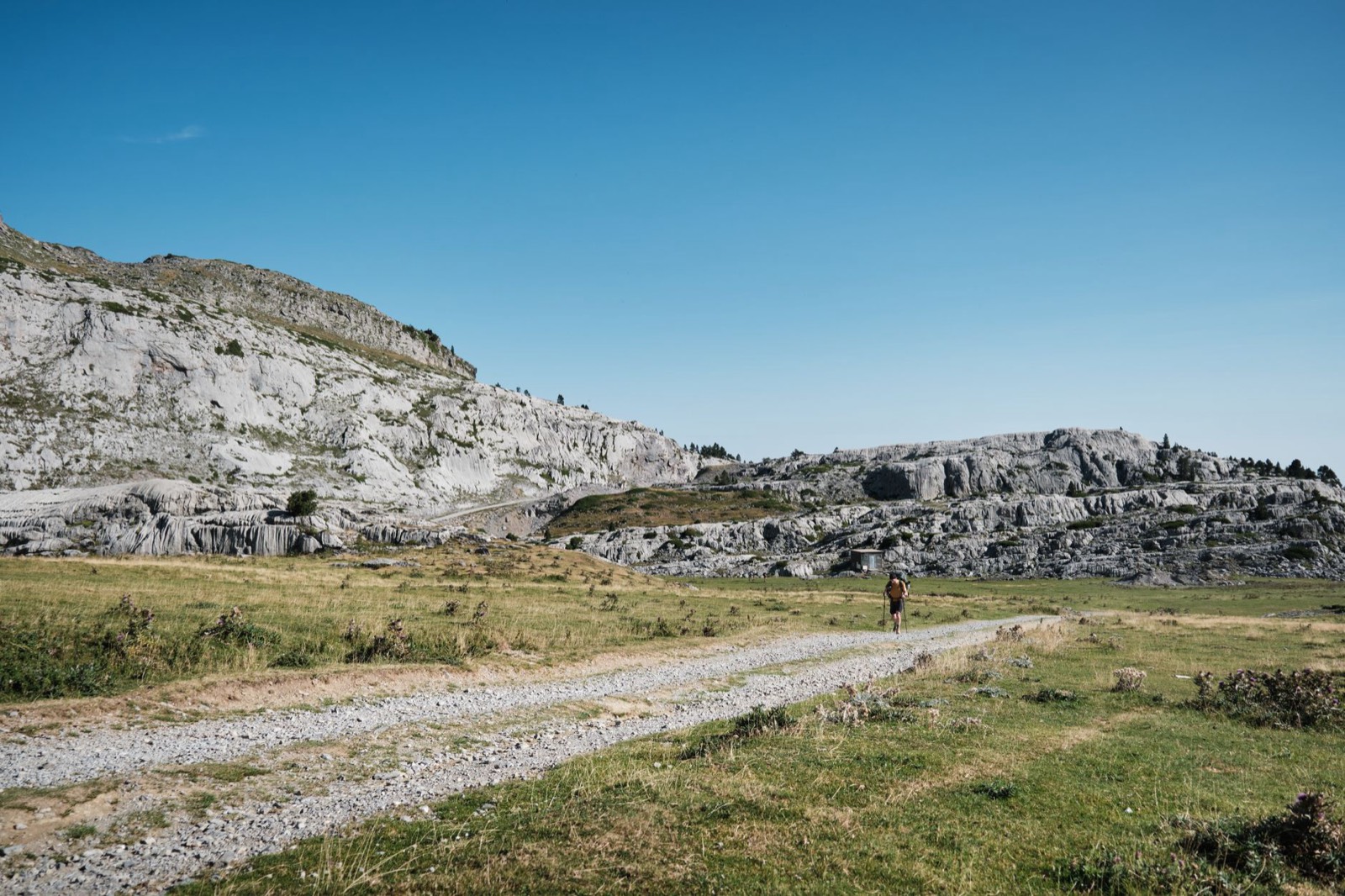 Sentier calcaire ensoleillé en crête, paysage de type Dentelles de Montmirail
