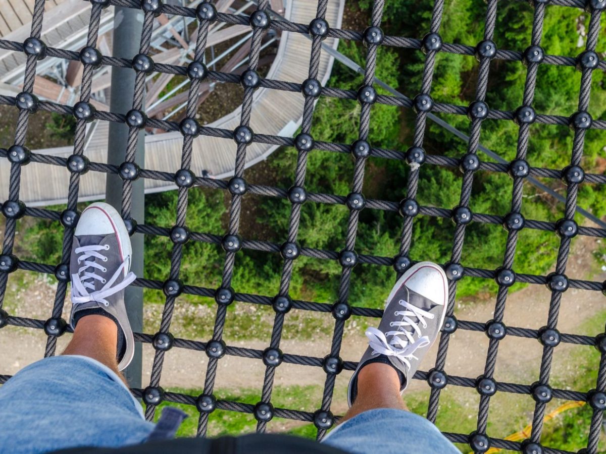 Accrobranche ou via ferrata : quel choix ?